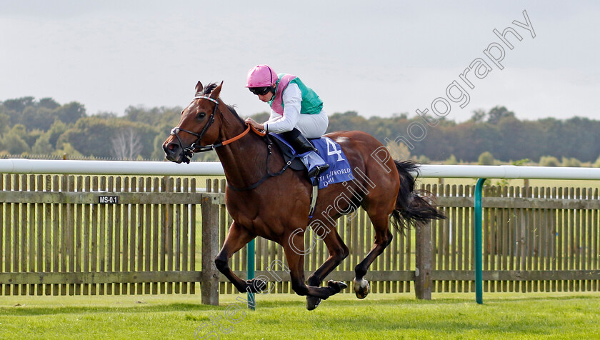 Time-Lock-0004 
 TIME LOCK (Ryan Moore) wins The Princess Royal Al Basti Equiworld Dubai Stakes
Newmarket 27 Sep 2024 - Pic Steven Cargill / Racingfotos.com