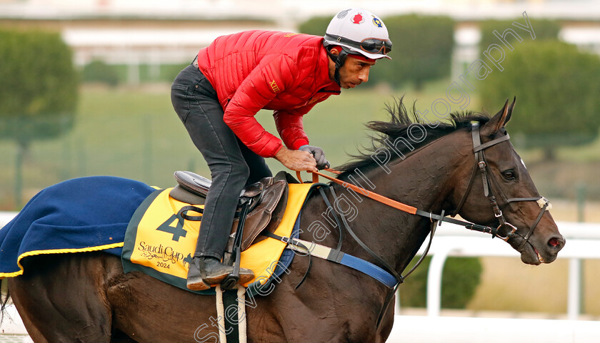 Calif-0002 
 CALIF training for The Neom Turf Cup
King Abdulaziz Racetrack, Saudi Arabia 22 Feb 2024 - Pic Steven Cargill / Racingfotos.com