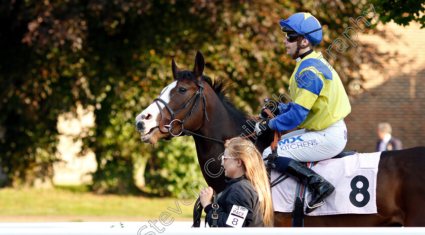 Midoura-0001 
 MIDOURA (Liam Jones)
Kempton 22 May 2019 - Pic Steven Cargill / Racingfotos.com