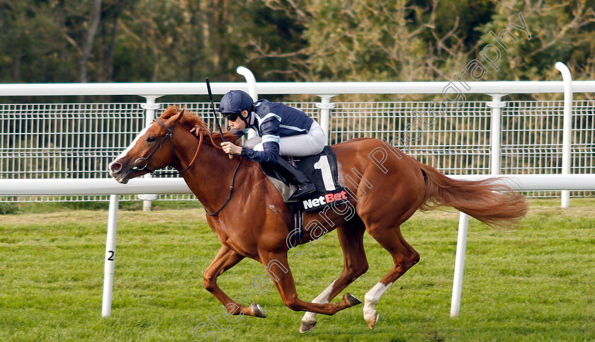 Autumn-War-0007 
 AUTUMN WAR (Callum Shepherd) wins The netbet.co.uk Novice Stakes
Goodwood 4 Sep 2018 - Pic Steven Cargill / Racingfotos.com