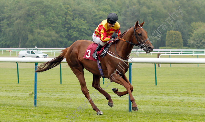 Sir-Ron-Priestley-0001 
 SIR RON PRIESTLEY (Franny Norton) wins The Amix Handicap
Haydock 25 May 2019 - Pic Steven Cargill / Racingfotos.com