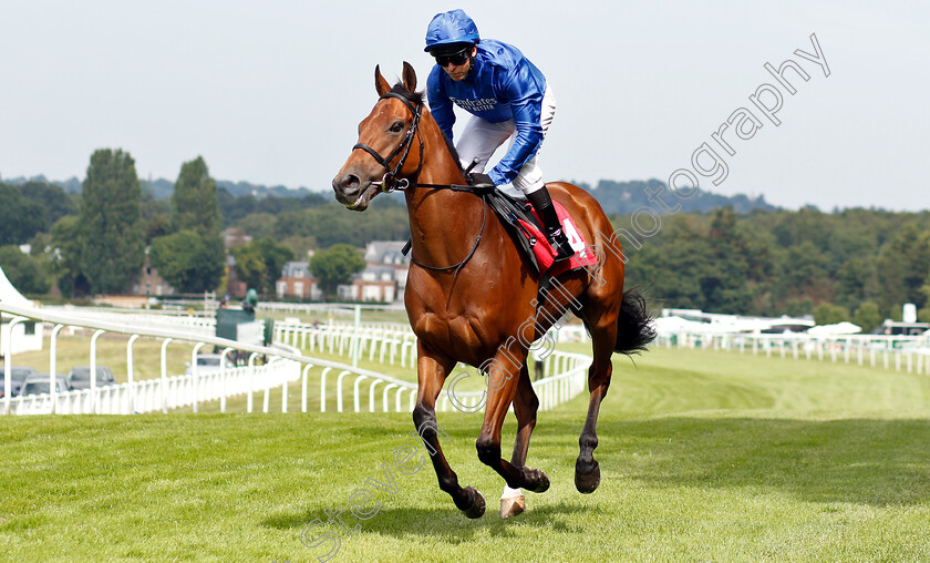 First-Nation-0001 
 FIRST NATION (Kerrin McEvoy)
Sandown 5 Jul 2019 - Pic Steven Cargill / Racingfotos.com