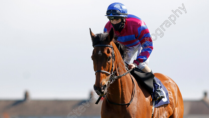 Tynecastle-Park-0005 
 TYNECASTLE PARK (Molly Presland)
Yarmouth 19 May 2021 - Pic Steven Cargill / Racingfotos.com