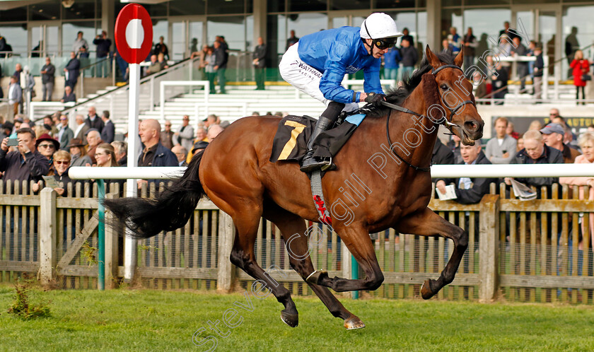 Tremorgio-0002 
 TREMORGIO (James Doyle) wins The Boodles Maiden Stakes
Newmarket 23 Oct 2024 - Pic Steven Cargill / Racingfotos.com