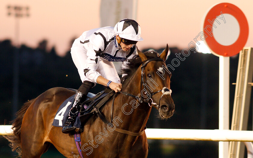 Thunderbolt-Rocks-0008 
 THUNDERBOLT ROCKS (James Doyle) wins The Hellermanntyton Identification Handicap
Wolverhampton 5 Sep 2018 - Pic Steven Cargill / Racingfotos.com