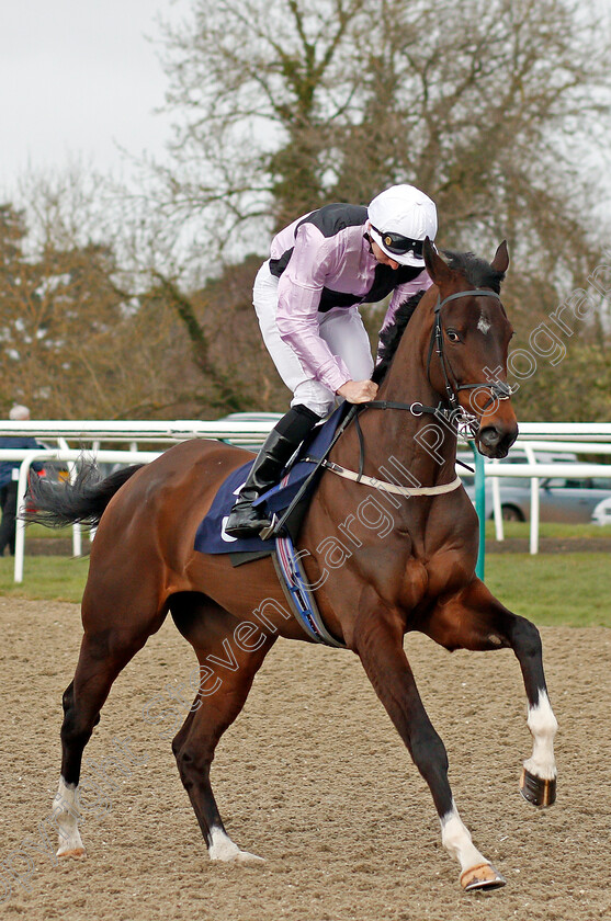 That s-A-Shame-0001 
 THAT'S A SHAME (Hector Crouch)
Lingfield 14 Feb 2020 - Pic Steven Cargill / Racingfotos.com