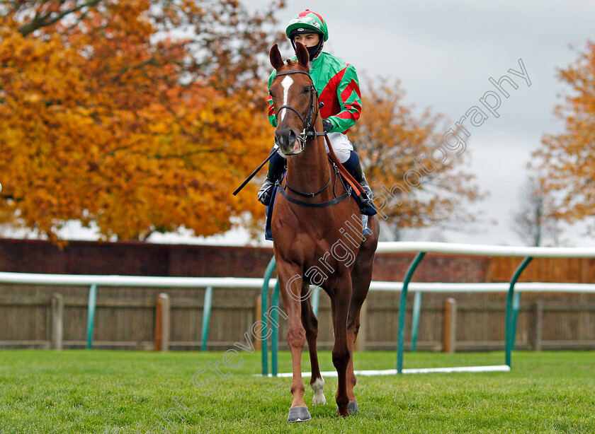 Rewired-0001 
 REWIRED (Silvestre De Sousa)
Newmarket 21 Oct 2020 - Pic Steven Cargill / Racingfotos.com