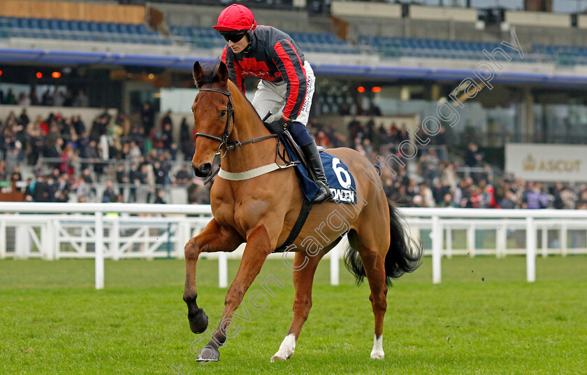 Prince-Quali-0001 
 PRINCE QUALI (Harry Kimber)
Ascot 21 Dec 2024 - Pic Steven Cargill / Racingfotos.com