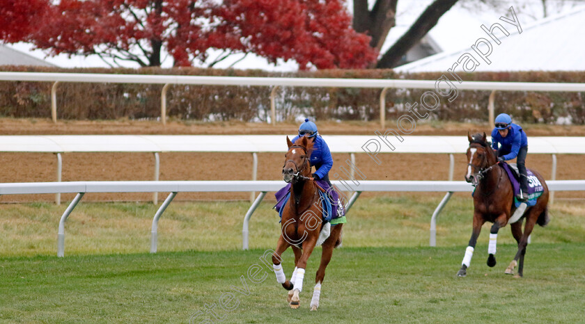 Modern-Games-0004 
 MODERN GAMES training for the Breeders' Cup Mile
Keeneland USA 1 Nov 2022 - Pic Steven Cargill / Racingfotos.com