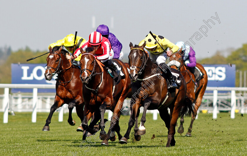 Cold-Case-0005 
 COLD CASE (right, Clifford Lee) beats BRADSELL (centre) in The British Racing School 40th Anniversary Commonwealth Cup Trial Stakes
Ascot 3 May 2023 - Pic Steven Cargill / Racingfotos.com