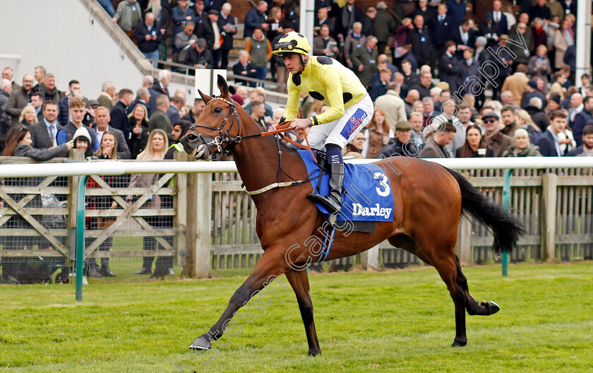 Liberty-Lane-0001 
 LIBERTY LANE (Clifford Lee)
Newmarket 12 Oct 2024 - Pic Steven Cargill / Racingfotos.com