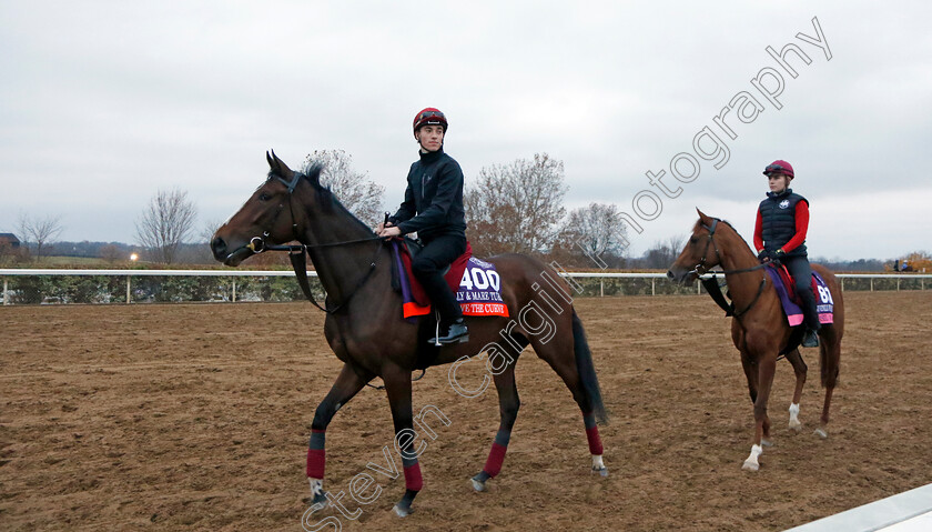 Above-The-Curve 
 ABOVE THE CURVE training for the Breeders' Cup Filly & Mare Turf with BASIL MARTINI (right)
Keeneland USA 1 Nov 2022 - Pic Steven Cargill / Racingfotos.com