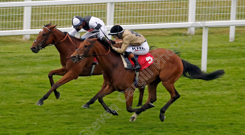 Rebel-Territory-0003 
 REBEL TERRITORY (left, Jim Crowley) beats OUZO (right) in The Coral Whitsun Cup
Sandown 26 May 2022 - Pic Steven Cargill / Racingfotos.com