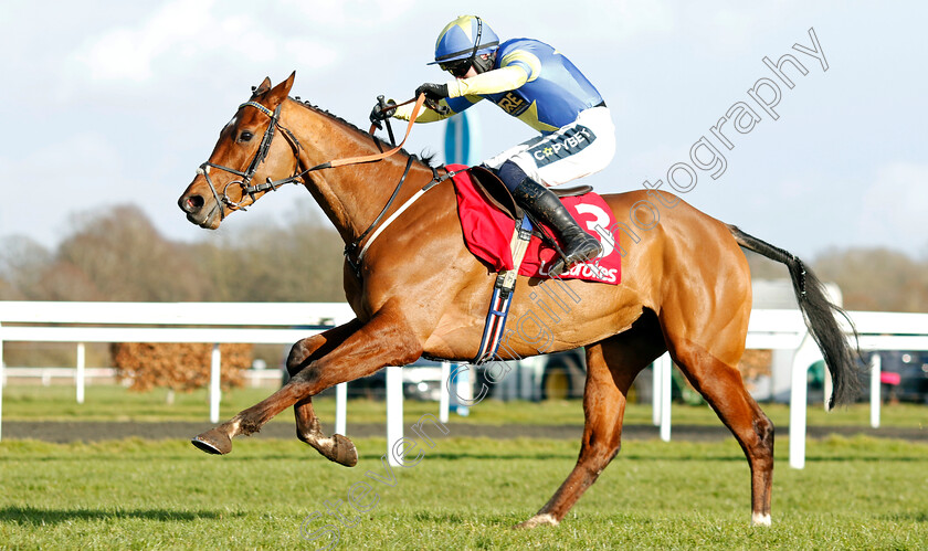 Tripoli-Flyer-0005 
 TRIPOLI FLYER (Jonathan Burke) wins The Ladbrokes Dovecote Novices Hurdle
Kempton 22 Feb 2025 - Pic Steven Cargill / Racingfotos.com