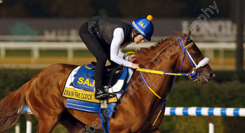 Drain-The-Clock-0001 
 DRAIN THE CLOCK training for The Golden Shaheen
Meydan, Dubai, 24 Mar 2022 - Pic Steven Cargill / Racingfotos.com