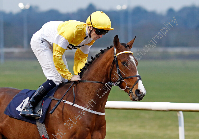 Quiet-Resolve-0003 
 QUIET RESOLVE (Oisin Orr)
Wolverhampton 9 Mar 2024 - Pic Steven Cargill / Racingfotos.com