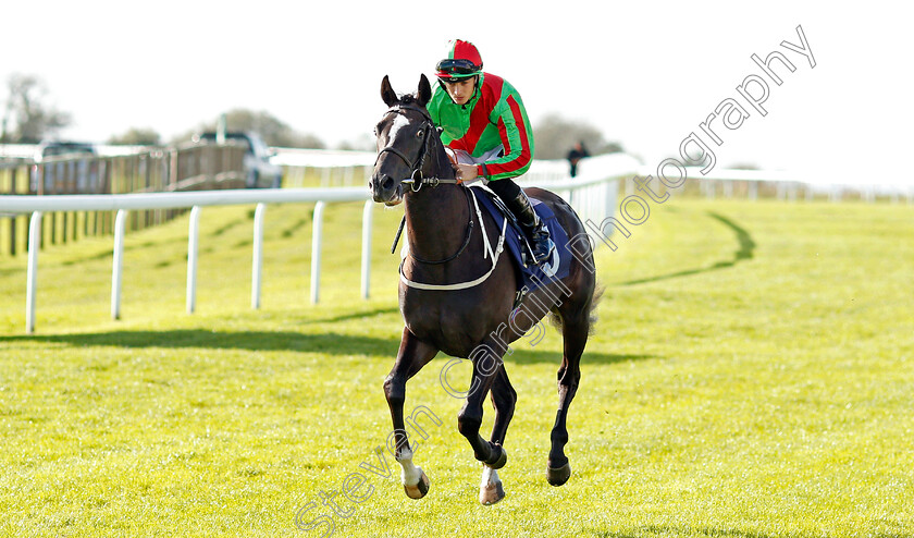 Justified-0001 
 JUSTIFIED (Harry Bentley)
Bath 16 Oct 2019 - Pic Steven Cargill / Racingfotos.com