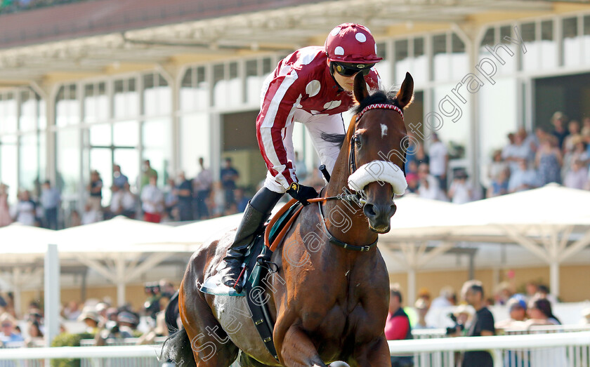 Mr-Hollywood-0001 
 MR HOLLYWOOD (Leon Wolff)
Baden Baden 1 Sep 2024 - Pic Steven Cargill / Racingfotos.com