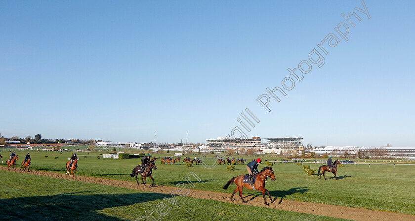 Tiger-Roll-0005 
 TIGER ROLL exercising on the eve of the Cheltenham Festival
Cheltenham 14 Mar 2022 - Pic Steven Cargill / Racingfotos.com