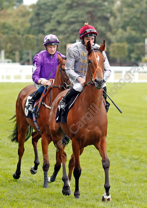 Al-Gaiya-0001 
 AL GAIYA (Rossa Ryan)
Ascot 7 Sep 2019 - Pic Steven Cargill / Racingfotos.com