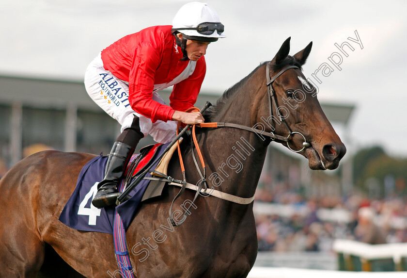 Indulged-0002 
 INDULGED (Ryan Moore) Yarmouth 20 Sep 2017 - Pic Steven Cargill / Racingfotos.com