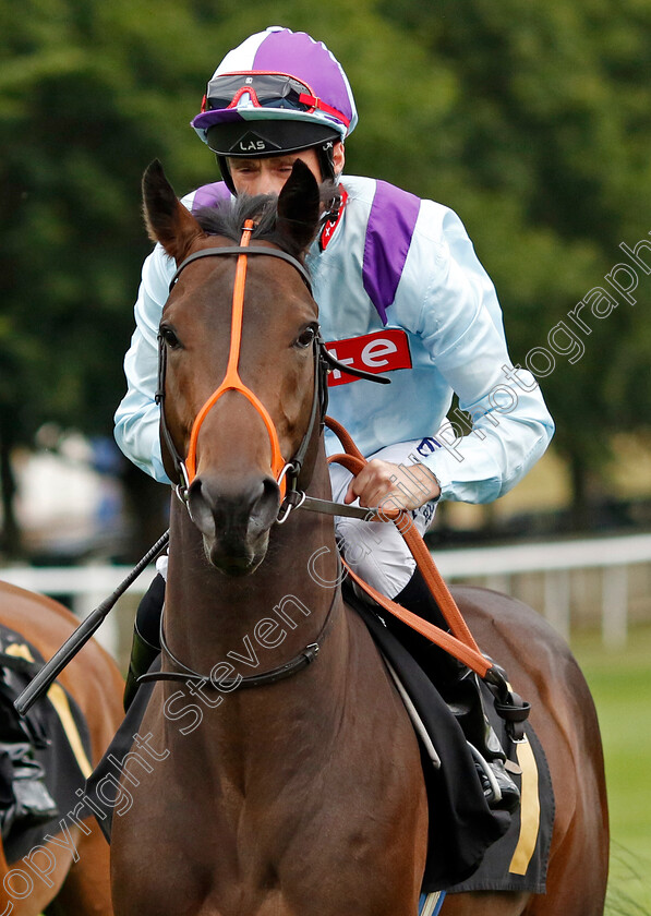 Wallop 
 WALLOP (Dane O'Neill)
Newmarket 29 Jul 2022 - Pic Steven Cargill / Racingfotos.com