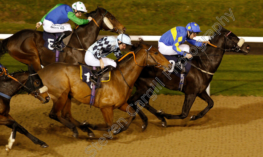 Jorvik-Prince-0004 
 JORVIK PRINCE (Tony Hamilton) beats ROYAL MEZYAN (centre) and TIME TO REASON (farside) in The Betway Sprint Handicap
Wolverhampton 28 Nov 2018 - Pic Steven Cargill / Racingfotos.com