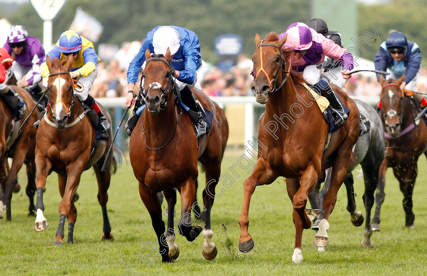 Bacchus-0003 
 BACCHUS (right, Jim Crowley) beats DREAMFIELD (left) in The Wokingham Stakes
Royal Ascot 23 Jun 2018 - Pic Steven Cargill / Racingfotos.com