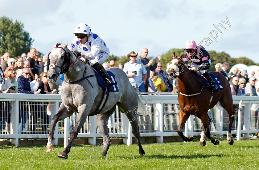 King-Of-Stars-0003 
 KING OF STARS (Silvestre De Sousa) wins The Download The At The Races App Handicap
Yarmouth 15 Sep 2021 - Pic Steven Cargill / Racingfotos.com