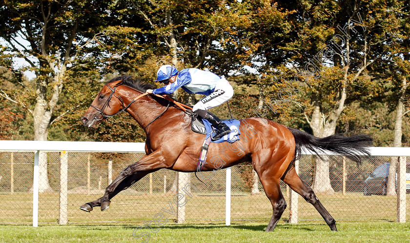 Stormwave-0005 
 STORMWAVE (Harry Bentley) wins The PKF Francis Clark EBF Novice Stakes Div2
Salisbury 3 Oct 2018 - Pic Steven Cargill / Racingfotos.com