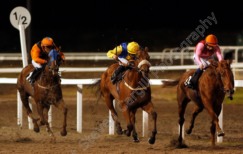 Cashel-0001 
 CASHEL (centre, Tom Marquand) beats LILY BEACH (right) in The chelmsfordcityracecourse.com Handicap Div2
Chelmsford 15 Oct 2020 - Pic Steven Cargill / Racingfotos.com