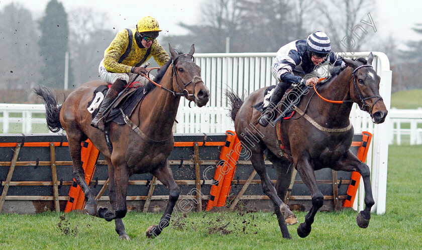 Skytastic-0004 
 SKYTASTIC (right, Charlie Deutsch) beats SCARFACE (left) in The Join Kim Bailey Racing Novices Hurdle
Ascot 19 Feb 2022 - Pic Steven Cargill / Racingfotos.com