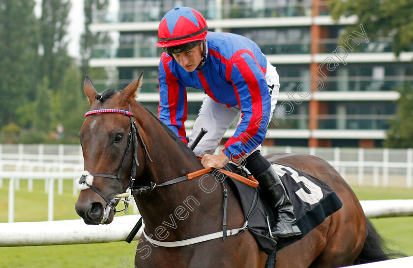 Lord-Of-The-Lodge-0001 
 LORD OF THE LODGE (Tom Marquand)
Newbury 19 Jul 2019 - Pic Steven Cargill / Racingfotos.com