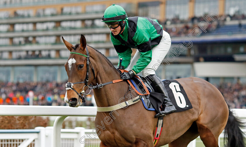 Gotthereintheend-0001 
 GOTTHEREINTHEEND (Charlie Price)
Ascot 21 Dec 2024 - Pic Steven Cargill / Racingfotos.com