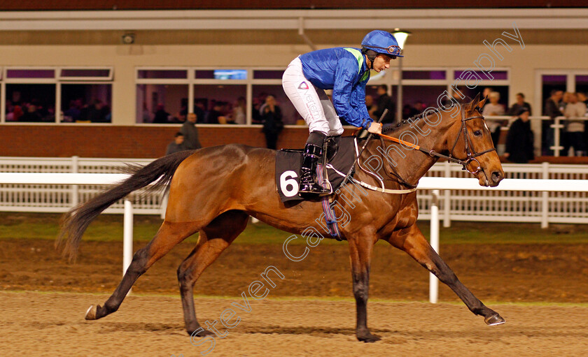 The-Jungle-Vip-0002 
 THE JUNGLE VIP (P J McDonald) Chelmsford 21 Dec 2017 - Pic Steven Cargill / Racingfotos.com