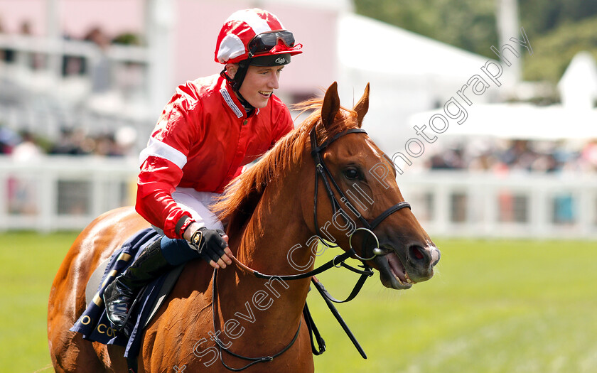 Daahyeh-0011 
 DAAHYEH (David Egan) after The Albany Stakes
Royal Ascot 21 Jun 2019 - Pic Steven Cargill / Racingfotos.com