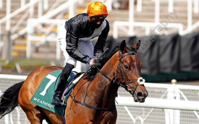 Quenelle-d or-0001 
 QUENELLE D'OR (James Doyle)
Chester 5 May 2021 - Pic Steven Cargill / Racingfotos.com