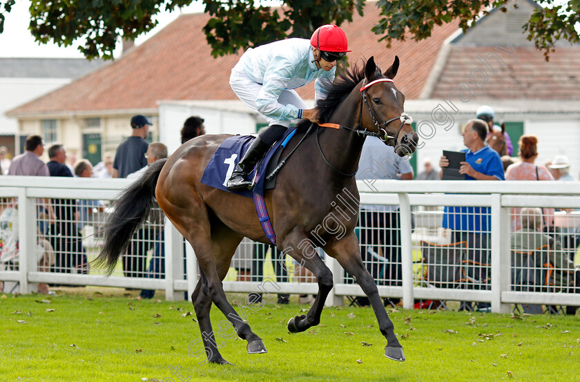 Atomise-0001 
 ATOMISE (Louis Steward)
Yarmouth 16 Sep 2021 - Pic Steven Cargill / Racingfotos.com