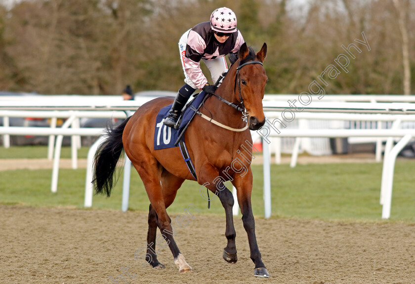 King s-Code-0001 
 KING'S CODE (Hollie Doyle)
Lingfield 20 Jan 2024 - Pic Steven Cargill / Racingfotos.com