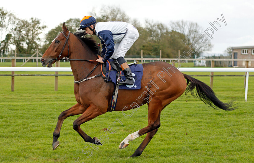 The-Way-You-Dance-0001 
 THE WAY YOU DANCE (Seamus Cronin)
Bath 16 Oct 2019 - Pic Steven Cargill / Racingfotos.com