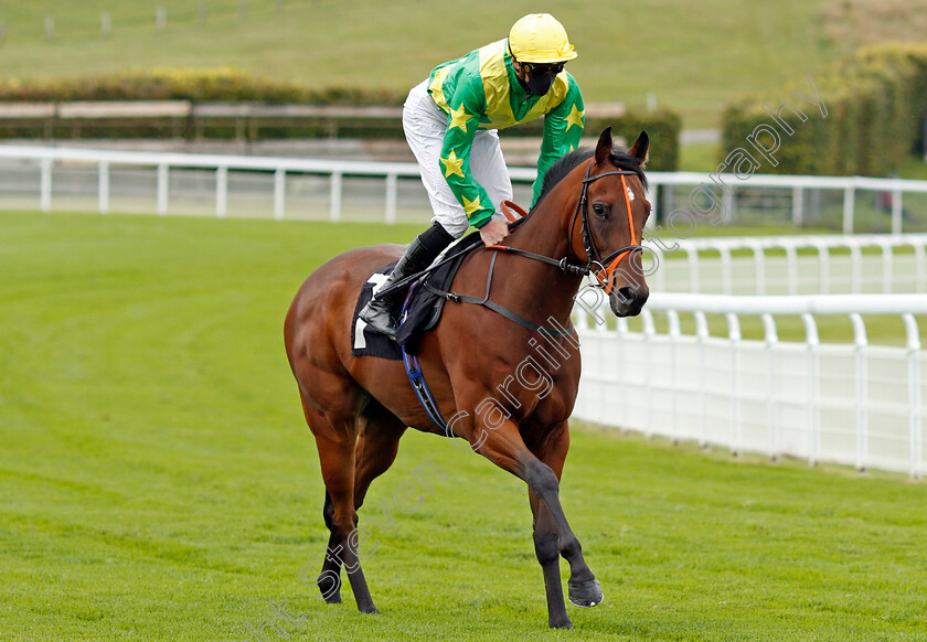 Pop-Dancer-0001 
 POP DANCER (James Doyle)
Goodwood 23 Sep 2020 - Pic Steven Cargill / Racingfotos.com