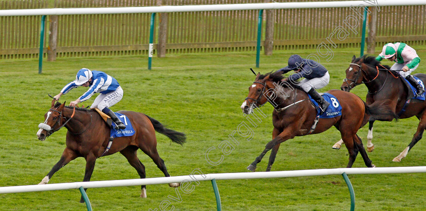 Beat-The-Bank-0002 
 BEAT THE BANK (Oisin Murphy) beats SIR JOHN LAVERY (right) in The Shadwell Joel Stakes Newmarket 29 Sep 2017 - Pic Steven Cargill / Racingfotos.com