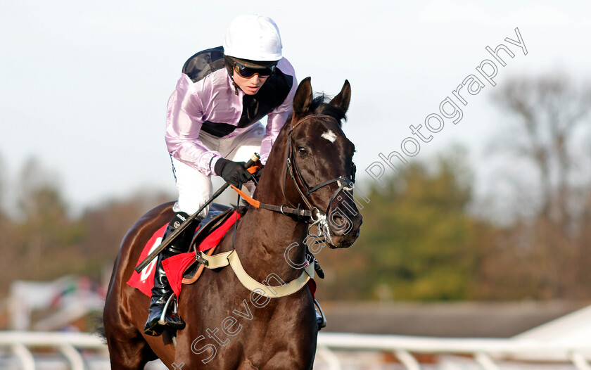 Ar-Mest-0001 
 AR MEST (Joshua Moore) Kempton 26 Dec 2017 - Pic Steven Cargill / Racingfotos.com