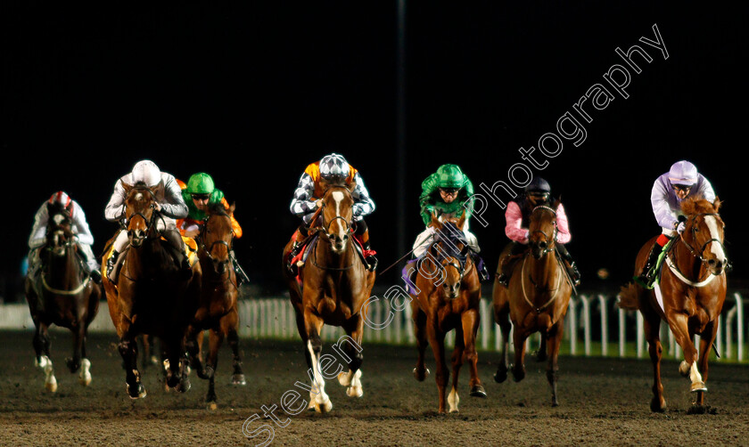 Rusper-0004 
 RUSPER (centre, Dougie Costello) beats SOD'S LAW (left) and TUM TUM (right) in The Matchbook VIP Novice Stakes Div1 Kempton 13 Dec 2017 - Pic Steven Cargill / Racingfotos.com