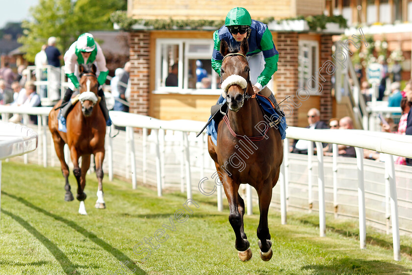 Brunch 
 BRUNCH (Connor Beasley)
York 10 Jun 2022 - Pic Steven Cargill / Racingfotos.com