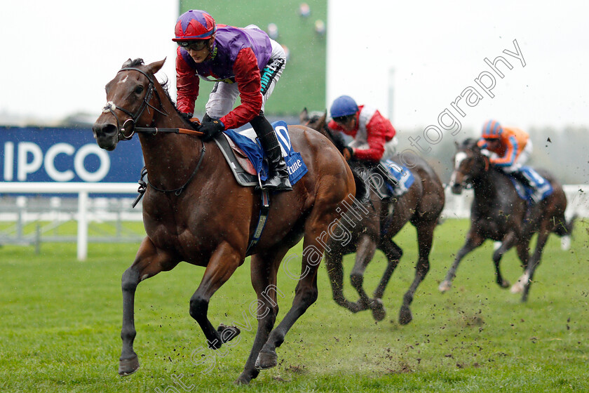 Di-Fede-0005 
 DI FEDE (Harry Bentley) wins The Neptune Investment Management British EBF October Stakes
Ascot 6 Oct 2018 - Pic Steven Cargill / Racingfotos.com