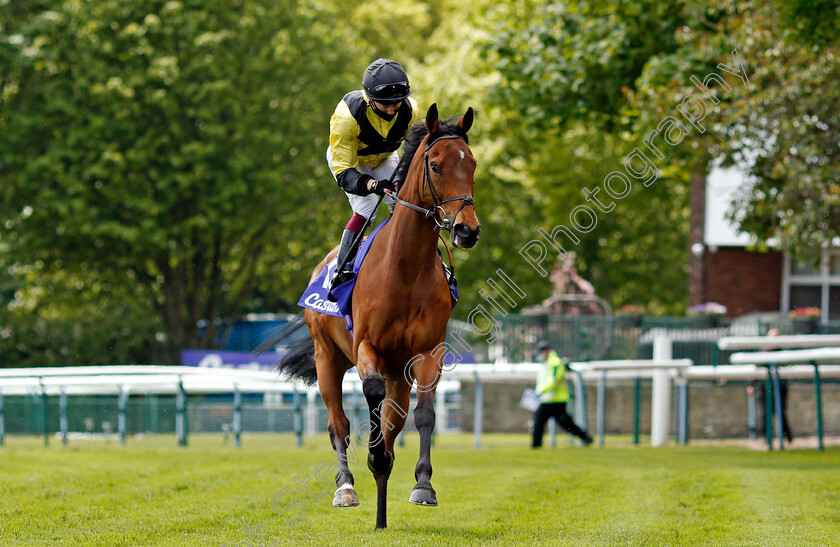 Future-Investment-0001 
 FUTURE INVESTMENT (Oisin Murphy)
Haydock 22 May 2021 - Pic Steven Cargill / Racingfotos.com