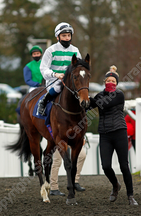 Alvarino-0001 
 ALVARINO (Callum Shepherd)
Lingfield 19 Dec 2020 - Pic Steven Cargill / Racingfotos.com