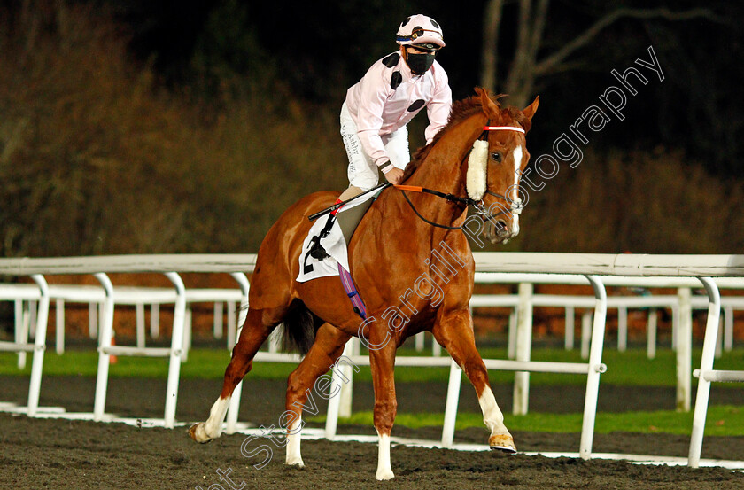 Jeremiah-0002 
 JEREMIAH (Andrea Atzeni)
Kempton 2 Dec 2020 - Pic Steven Cargill / Racingfotos.com