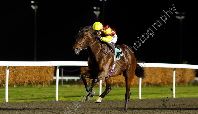 Molveno-0002 
 MOLVENO (Marco Ghiani) wins The British Stallion Studs EBF Restricted Novice Stakes
Kempton 11 Dec 2024 - Pic Steven Cargill / Racingfotos.com